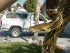 DSC02958.JPG