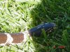 DSC02992.JPG