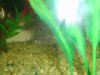 DSC00234.jpg