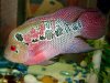 DSC02352.jpg