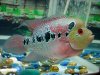 DSC02394.jpg