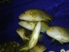 DSC00714.JPG