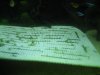 Moss Carpet 017.jpg