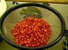 huckleberries.jpg