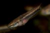 DSC_0251.JPG