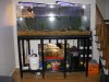 new tank 005.jpg