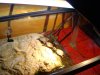 new tank 009.jpg