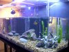 new tank 013.jpg