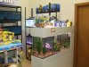 DSCF4478.JPG