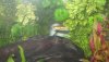 Snakehead 10.jpg