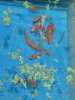 IMG_5223 More Gold fish.JPG