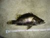 DSC07084.JPG