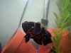100_0741.jpg