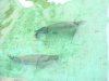 DSC00470.JPG