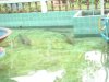 DSC00472.JPG