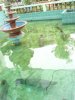 DSC00473.JPG