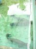 DSC00483.JPG