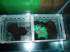 Biobox_04.JPG