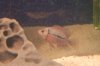 fish 8908 053.jpg