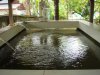 DSC00556.JPG