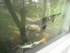 DSC00561.JPG
