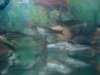 DSC01179_resize.JPG