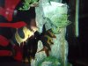 DSC07036.JPG
