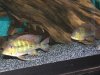 100_0753.jpg