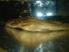DSC00594.JPG