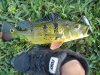 fish tank 022.jpg