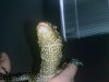 09122008086.jpg