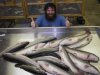 bowfin1.jpg