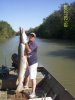 nueces river gar 55.jpg