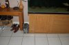 DSC_5490.JPG