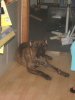 Picture 055.jpg