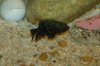 DSC_0084.JPG