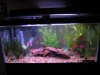 50gal.jpg