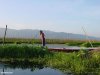 burma_farm_0.jpg burma_farm_0.jpg