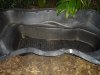 fish tank 034.jpg