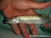 DSC00612.JPG