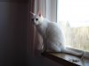 DSC01156.JPG
