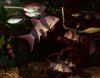 100_0001.jpg