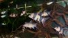 100_0007.jpg