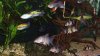 100_0009.jpg