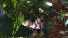 100_0010.jpg