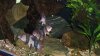 100_0013.jpg