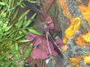 100_00721.jpg