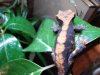 DSC01580.jpg