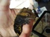 DSC01584.jpg