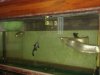 DSC01164.JPG